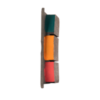Racing brake pad with temperature indicator paint applied